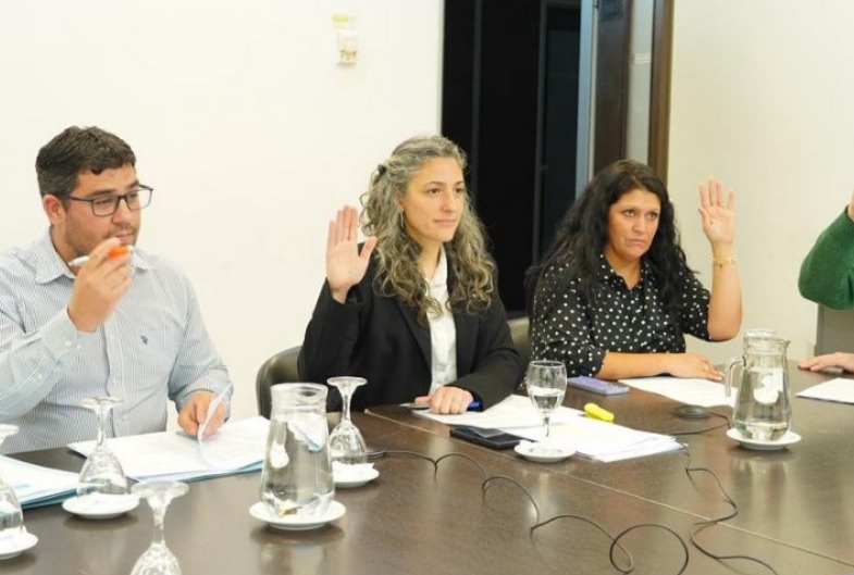 Diputados: la comisión de Defensa del Consumidor aprobó el proyecto impulsado por la legisladora Ana Balor.