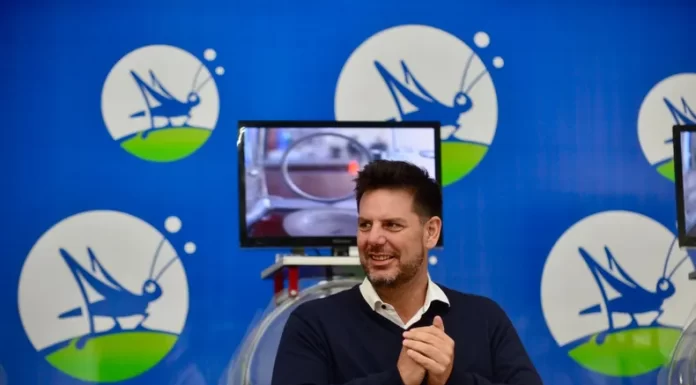 Apuntan a Lotería y Casinos por la falta de controles al juego online: “¿Es tan difícil es proteger a los chicos?” Diputado opositor volvió a cruzar a Lotería y Casinos por la falta de implementación de los controles biométricos en las plataformas de juego online.