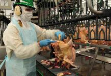 Granja Tres Arroyos: Provincia dictó la conciliación y obliga a reincorporar a los trabajadores Provincia dictó la conciliación obligatoria en Granja Tres Arroyos y la empresa deberá reincorporar a los 750 trabajadores afectados.