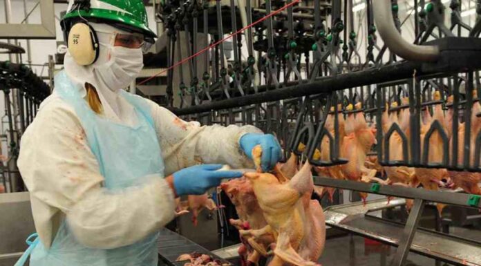 Crisis en Granja Tres Arroyos: Provincia dictó la conciliación y obliga a reincorporar a los trabajadores Provincia dictó la conciliación obligatoria en Granja Tres Arroyos y la empresa deberá reincorporar a los 750 trabajadores afectados.