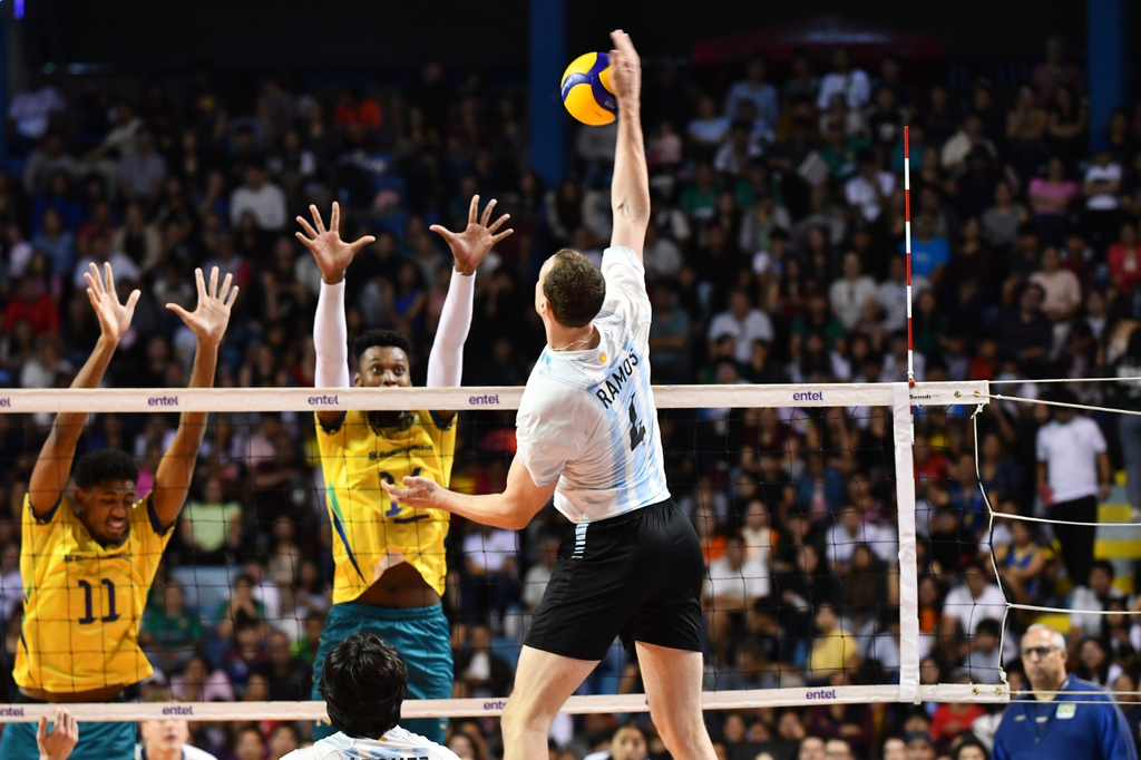 El senador Olivera busca reconocer el campeonato sudamericano de la Selección de vóley. Argentina venció 3-2 en la final a Brasil.