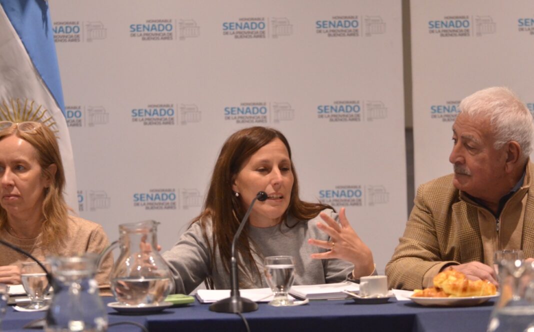 La senadora bonaerense Analía Balaudo valoró la confluencia de dirigentes del PRO y La Libertad Avanza en un evento tradicionalista de Lincoln.