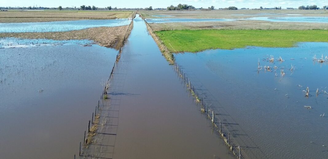 El Gobierno bonaerense declaró la emergencia agropecuaria en 9 de Julio y Necochea por las inundaciones que afectaron los campos de la región.