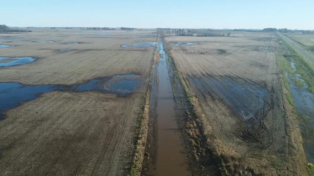 La emergencia agropecuaria le otorga beneficios impositivos a los productores de 9 de Julio y Necochea. 