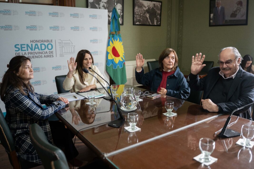 La senadora libertaria Analía Balaudo puso en marcha la comisión de Defensa de las Personas Usuarias y Consumidoras.