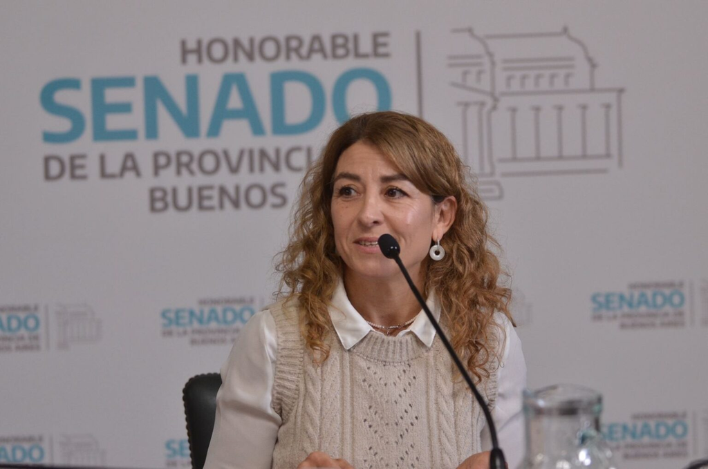 La senadora radical, Natalia Quintana, rechazó un acuerdo entre la UCR y LLA.
