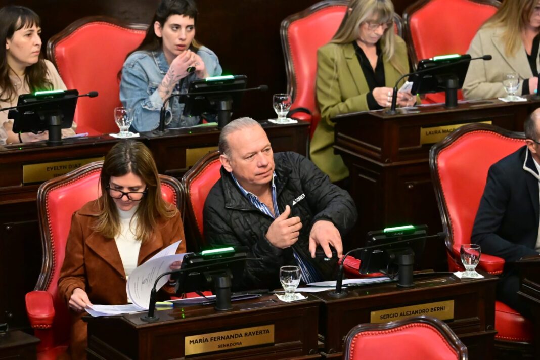 El Senado bonaerense otorgó media sanción al proyecto para definir la representación de la provincia en la privatización de Nucleoeléctrica Argentina.