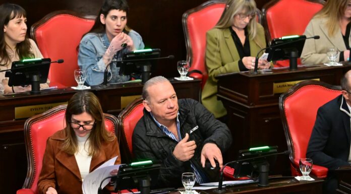 Con cruces y gritos, avanzó la ley para que Kicillof intervenga en la privatización de Nucleoeléctrica El Senado bonaerense otorgó media sanción al proyecto para definir la representación de la provincia en la privatización de Nucleoeléctrica Argentina.