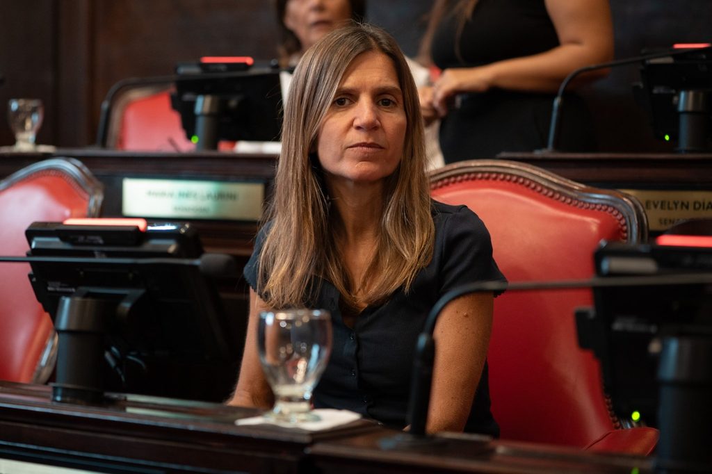 La senadora kirchnerista Fernanda Raverta defendió el proyecto de ley para frenar la concesión del complejo de Chapadmalal.  