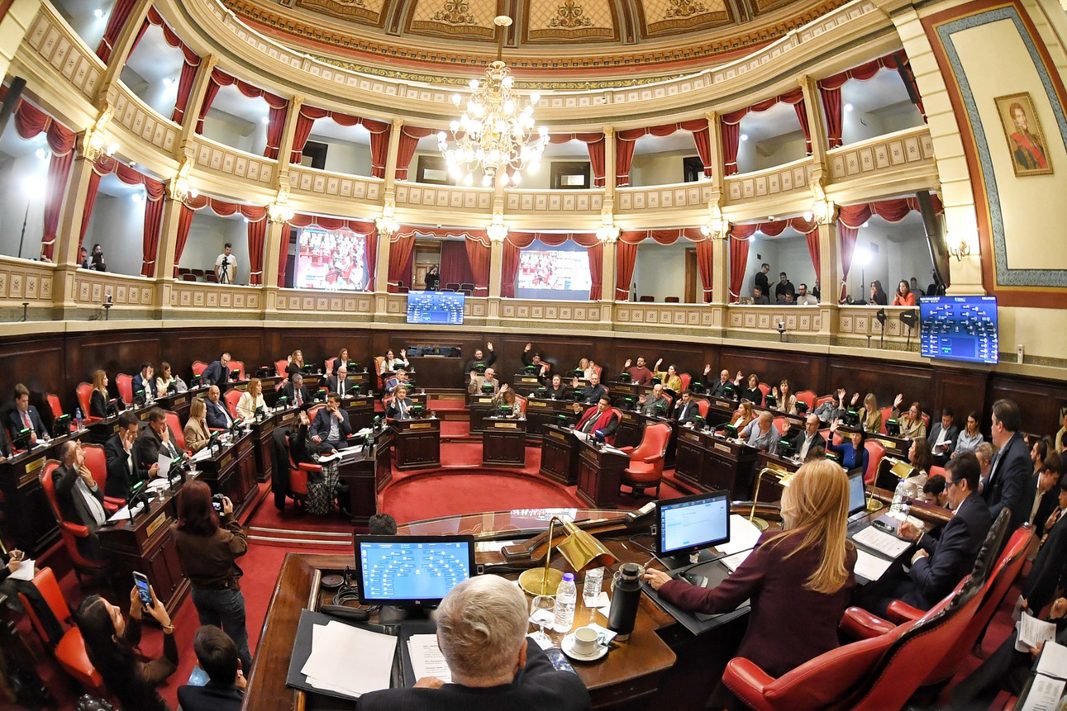 El Senado dio media sanción a una iniciativa que amplía las sanciones por agresiones a docentes, personal sanitario y trabajadores públicos.
