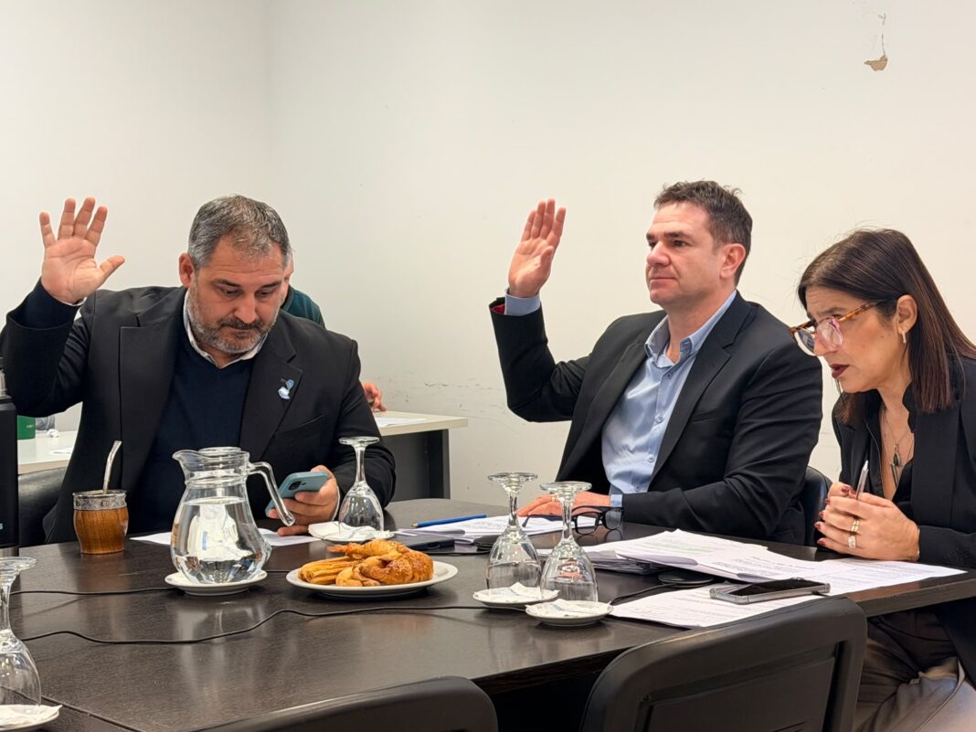 La comisión de Transporte de Diputados aprobó un puñado de proyectos que rechazan el recorte presupuestario del Gobierno de Javier Milei.