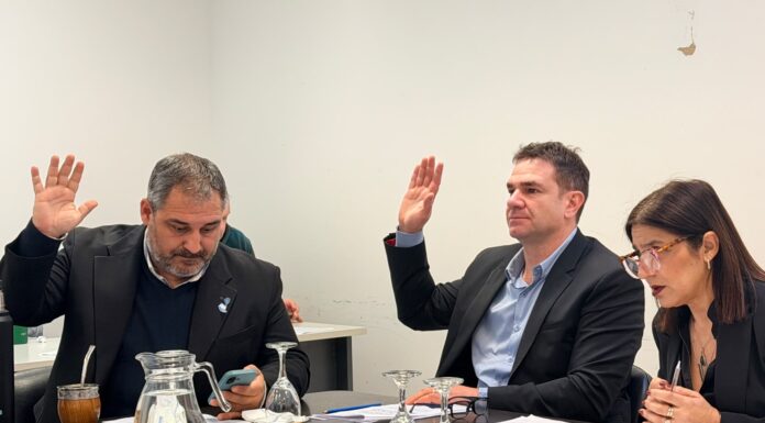 La comisión de Transporte aprobó una batería de rechazos contra Milei: “No conoce la provincia” La comisión de Transporte de Diputados aprobó un puñado de proyectos que rechazan el recorte presupuestario del Gobierno de Javier Milei.
