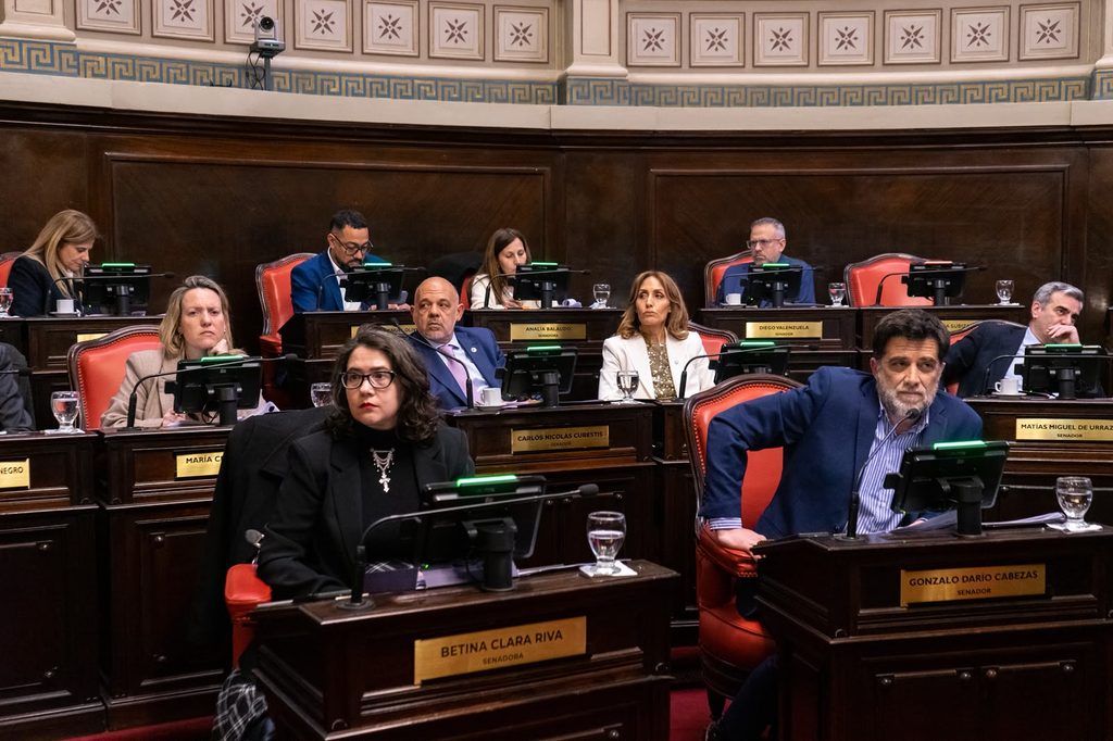 La senadora marplatense Cecilia Martínez anticipó el rechazo del bloque de La Libertad Avanza al proyecto de La Cámpora para Chapadmalal. 