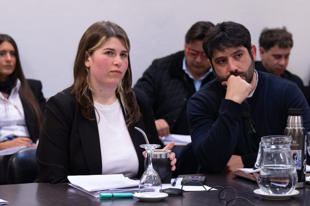 La titular de la comisión de Ludopatía de la Cámara de Diputados, Micaela Olivetto, adelantó que trabajan en una ley de apuestas online para despacharla en octubre.