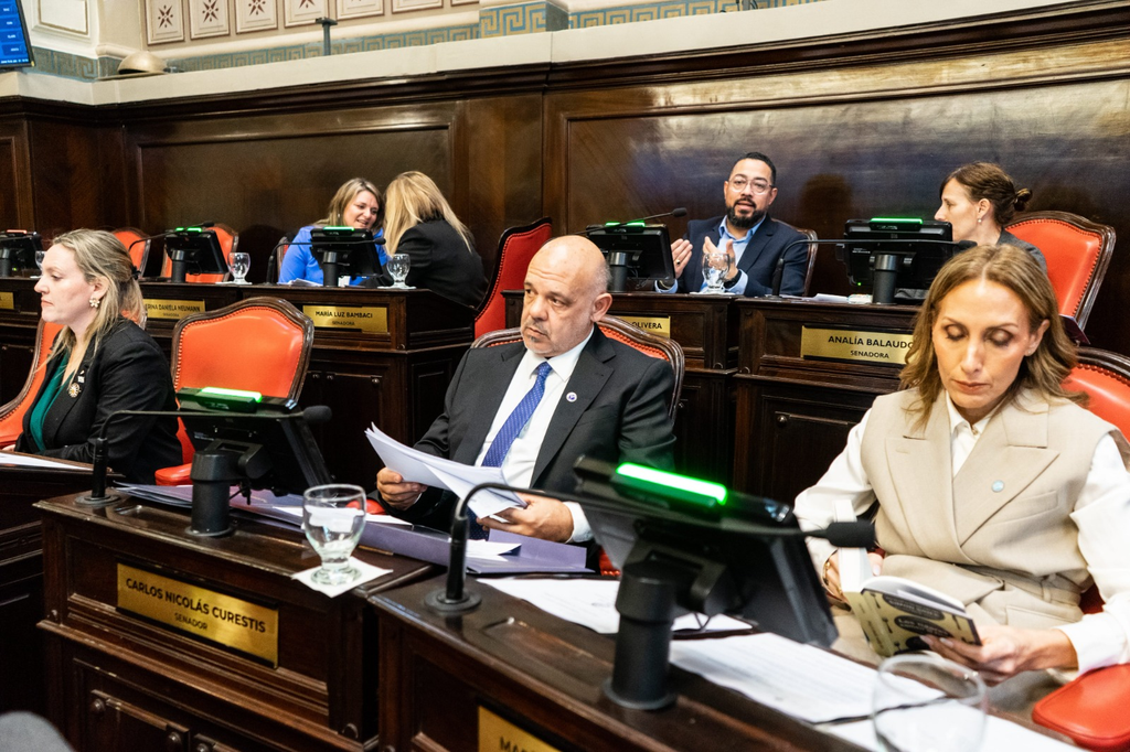 El titular del bloque de LLA en el Senado bonaerense, Carlos Curestis.