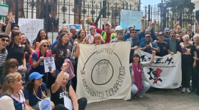 Acompañantes terapéuticos presionan al Senado para que trate la ley que los reconoce Acompañantes terapéuticos presionan al Senado para que trate la ley que los reconoce