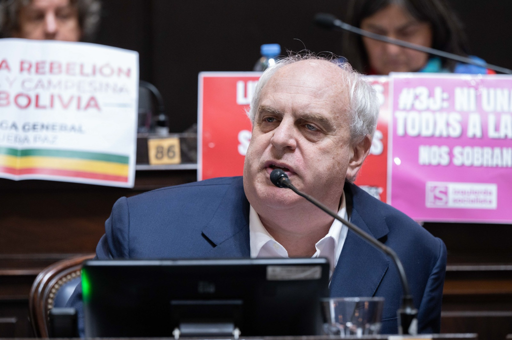 El titular del bloque del PRO en Dipuados, Alejandro Rabinovich.