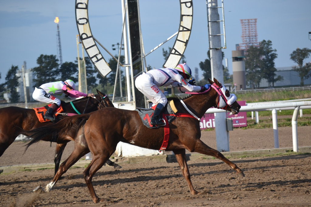 Trofeo del Gran Premio Dardo Rocha: la inscripción para los artistas bonaerenses tendrá lugar hasta el viernes 25 de septiembre.