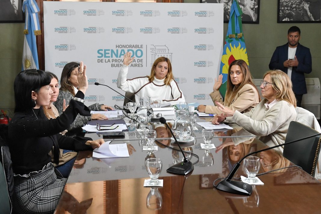 La comisión de Ambiente del Senado bonaerense aprobó el proyecto de Subiza (Hechos) para sancionar la contaminación sonora vehicular en la provincia.
