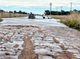 El Senado avanza con la ley para liberar fondos del Inmobiliario Rural ante la llegada de El Niño El Senado bonaerense avanzó con el proyecto de Sergio Vargas que permite a los municipios reasignar fondos del Inmobiliario Rural ante “El Niño”.