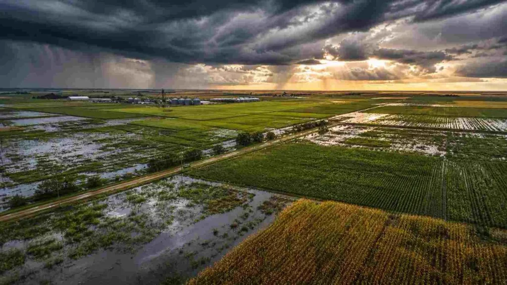 La llegada de “El Niño” podría provocar fuertes precipitaciones, anegamientos y complicaciones en los caminos rurales bonaerenses.