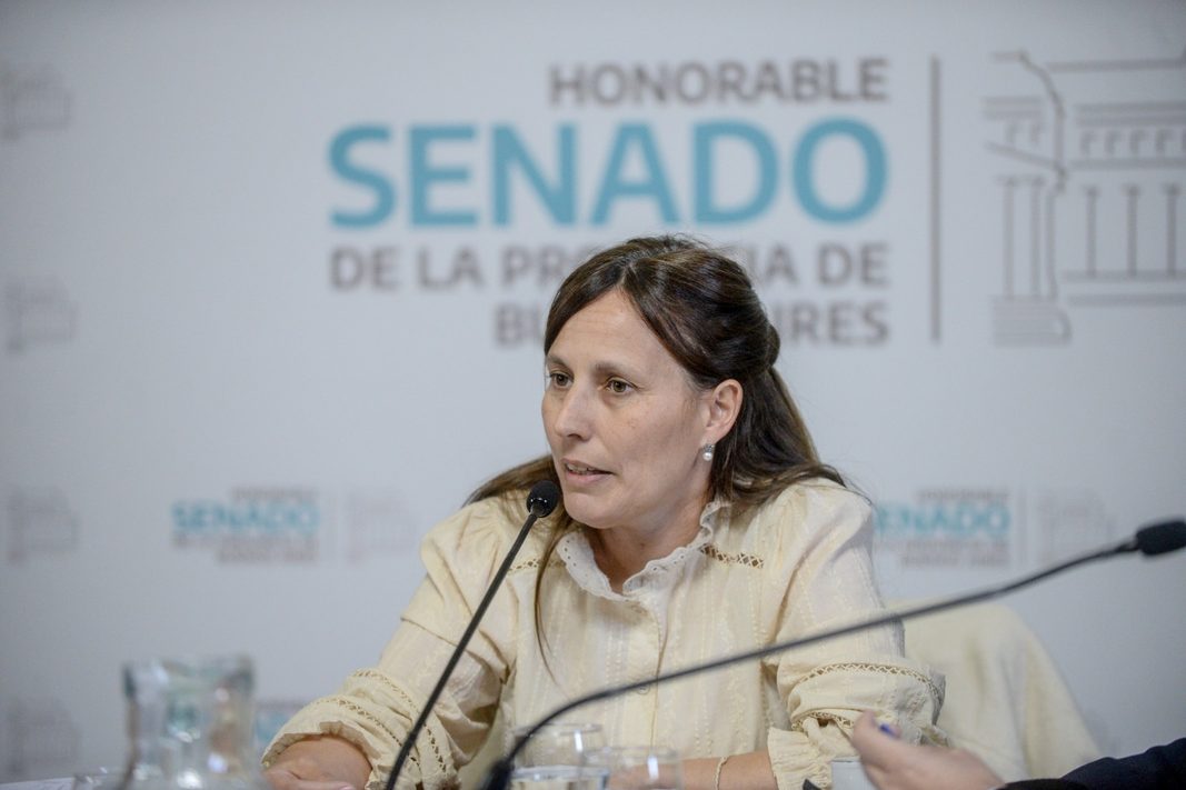 La titular de la comisión de Comercio Interior del Senado, Analía Balaudo, criticó a los legisladores peronistas por postergar el tratamiento de una ley de alivio fiscal para pymes.