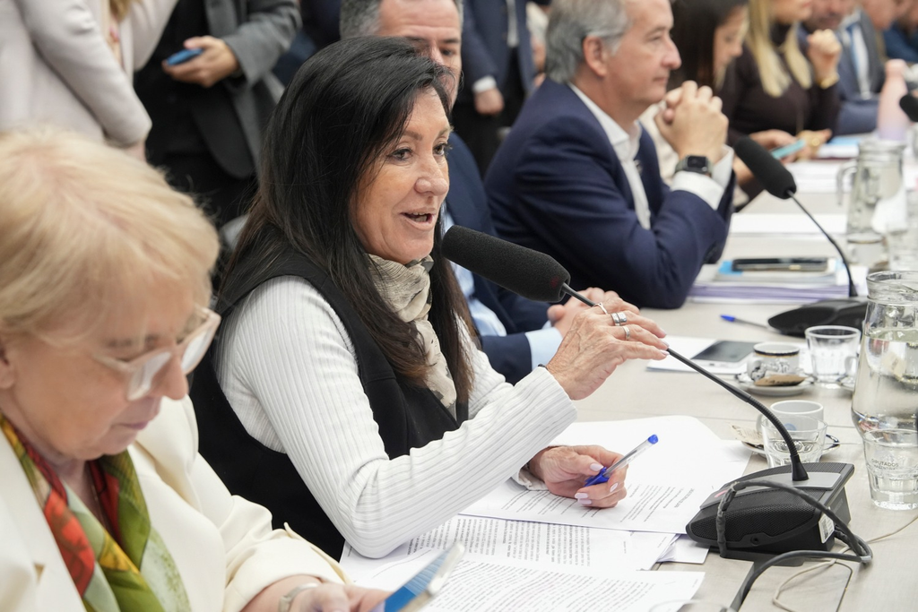 Discapacidad: la diputada de LLA, Laura Rodríguez Machado, fue la voz relatora del proyecto del Gobierno. "Es una propuesta superadora a la emergencia", indicó.