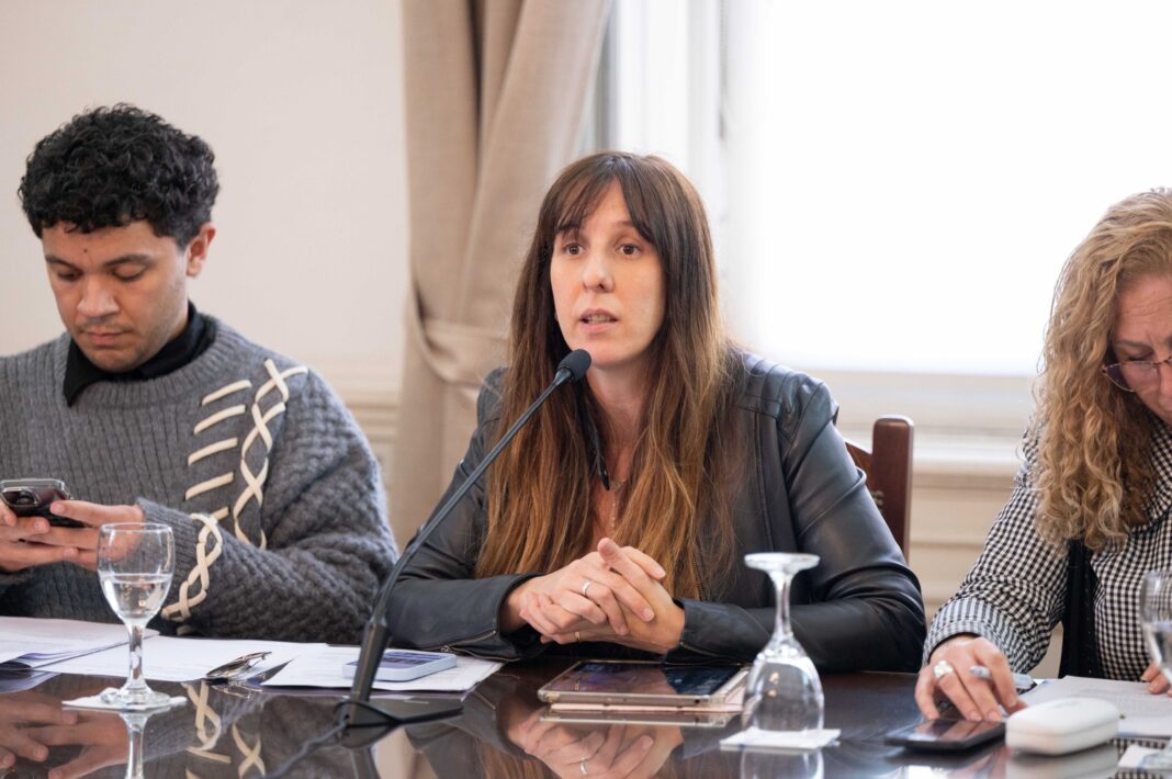 La comisión de Asuntos Constitucionales de la Cámara baja dejó en suspenso el proyecto de Facundo Tignanelli para crear un Tribunal Electoral, a la espera de la opinión de la Junta.