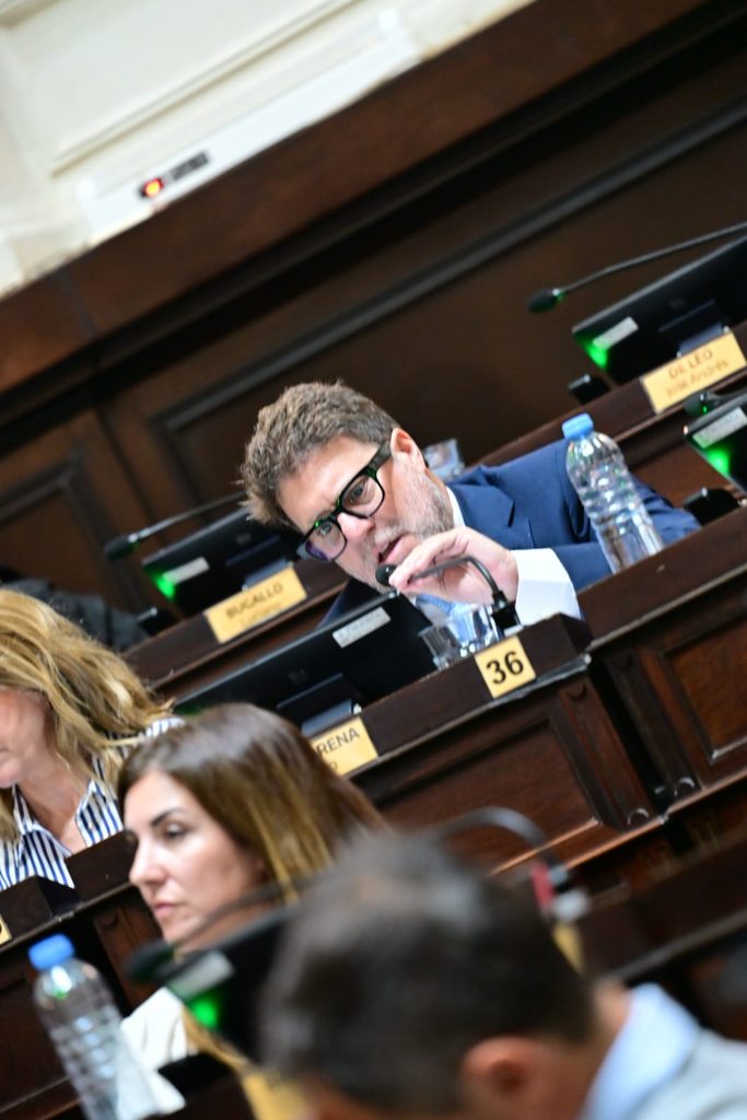 El titular del bloque UCR + Cambio Federal, Diego Garciarena, también se sumó a los embates contra las leyes de endeudamiento de Diputados.