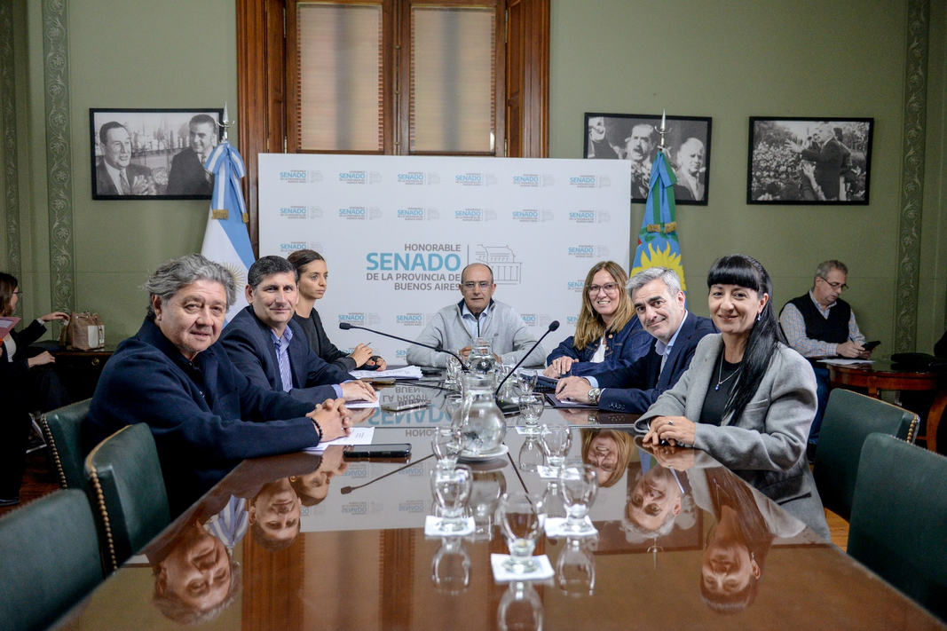 La comisión de Transporte del Senado bonaerense aprobó varias resoluciones de rechazo a medidas implementadas por el gobierno de Milei.