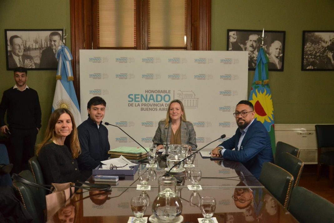 La comisión de Prevención de las Adicciones del Senado bonaerense despachó una ley para concientizar sobre la Ciber-Ludopatía Juvenil.
