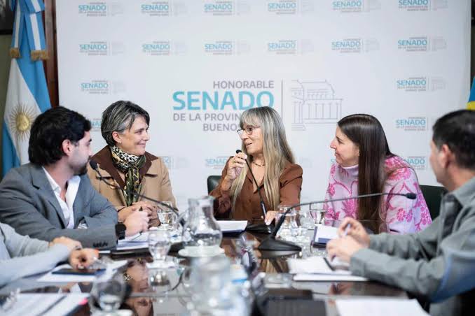 Laura Clark destacó el trabajo conjunto de las comisiones de Educación y Legislación General para unificar la Ley Ema.