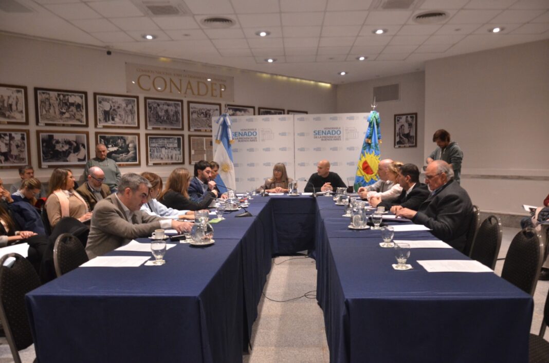 Mientras avanza la Ley Ema, la titular del Instituto de olíticas de Prevención del Grooming de Diputados pidió profundizar la alfabetización digital.