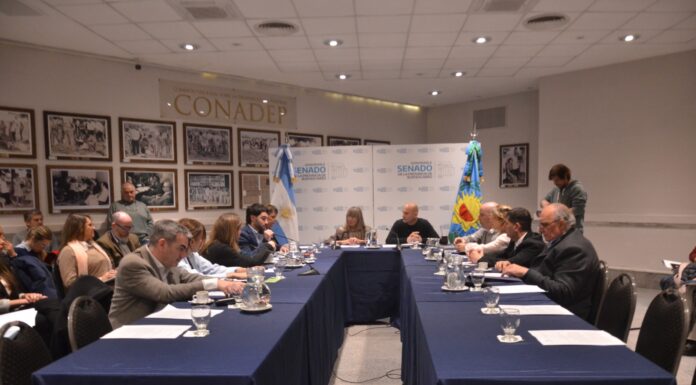 Con el impulso de la Ley Ema, piden que la Legislatura se meta en la lucha contra el grooming Mientras avanza la Ley Ema, la titular del Instituto de olíticas de Prevención del Grooming de Diputados pidió profundizar la alfabetización digital.
