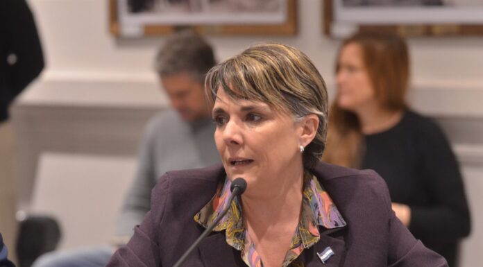 La mamá de Ema celebró la unificación de proyectos: “Seguro a fin de año tenemos la ley” La mamá de Bondaruk, Laura Sánchez, celebró el texto unificado de la Ley Ema y confió en su sanción definitiva antes de fin de año.