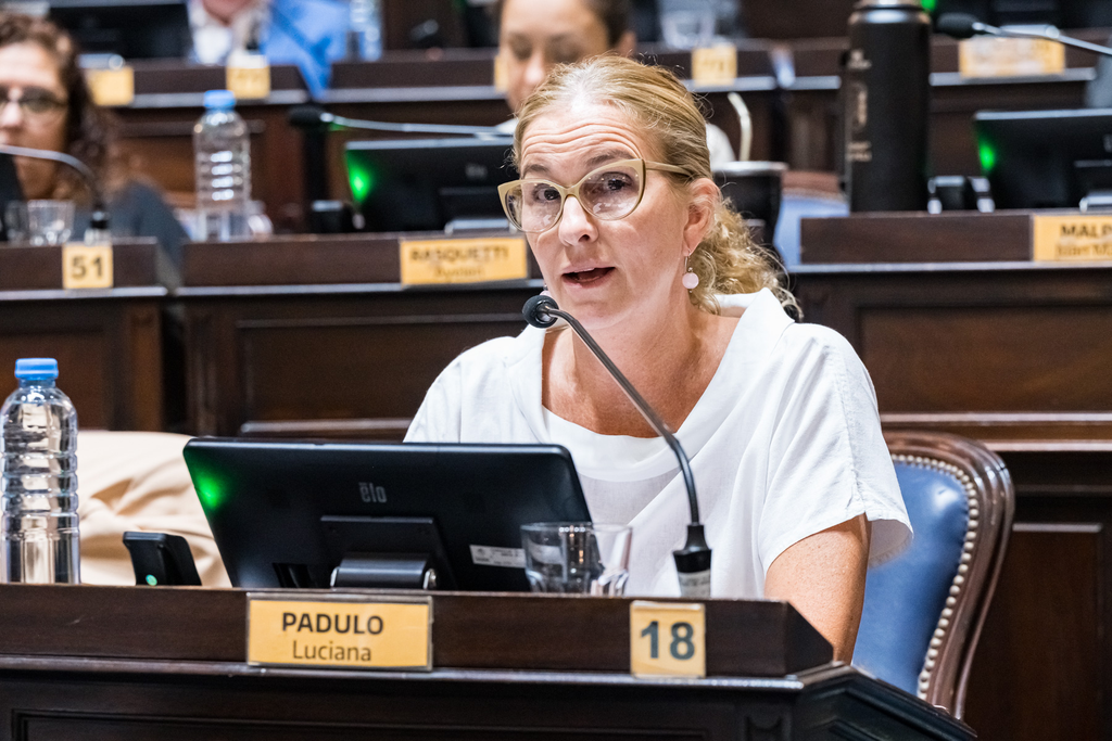 Senadores despacharon el proyecto de Luciana Padulo para incorporar la educación emocional en las escuelas de la provincia de Buenos Aires.