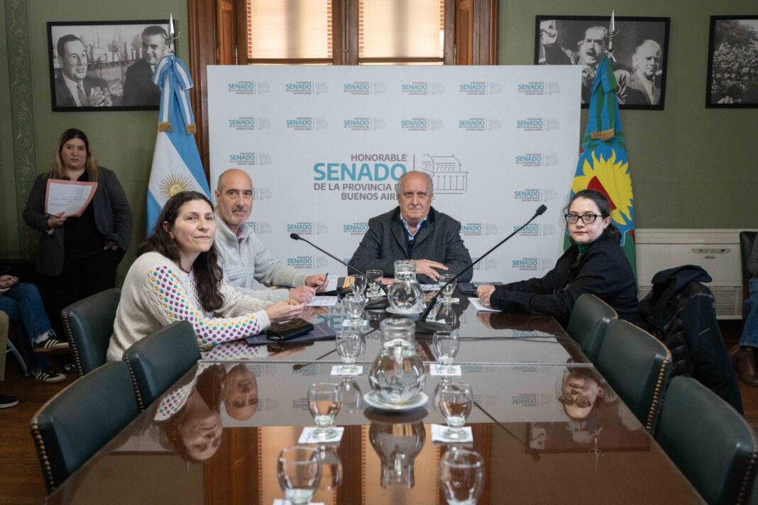 La comisión de Salud del Senado bonaerense despachó los dos proyectos sanitarios de Kicillof: la empresa de medicamentos y el sistema unificado de salud.