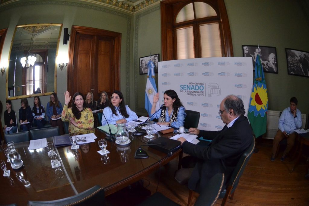 La ley de boleto gratuito para adultos mayores fue aprobada por unanimidad en la comisión de Niñez, Adolescencia y Familia del Senado bonaerense.