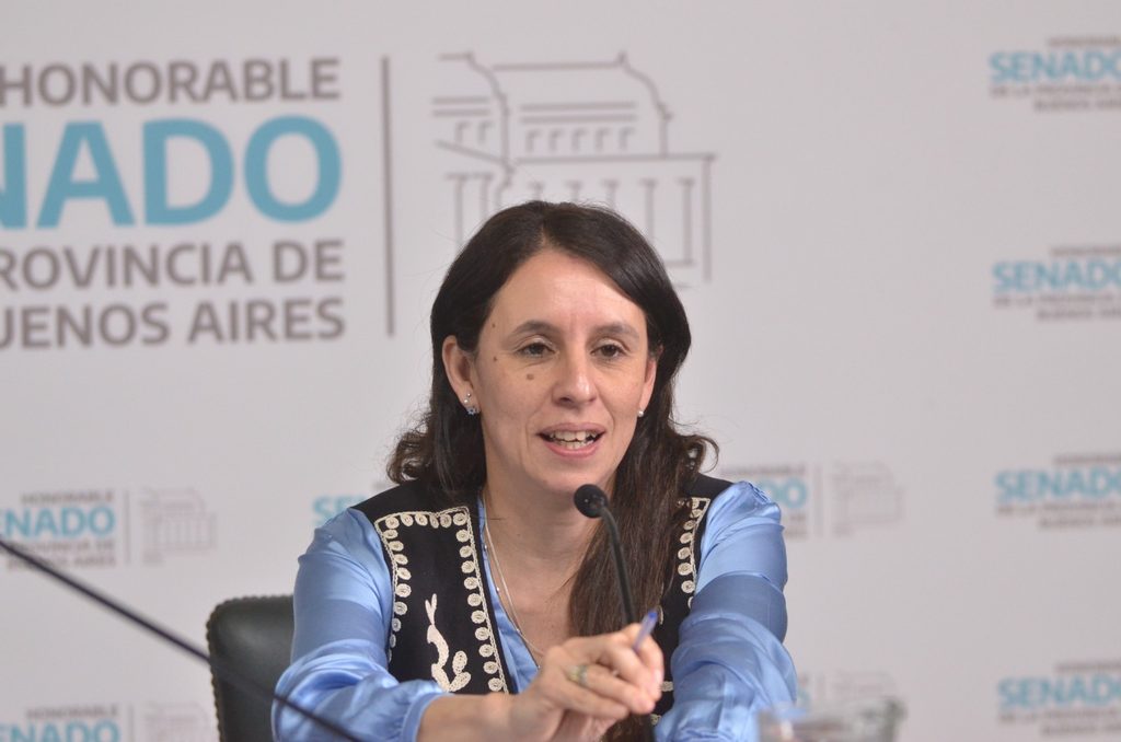 Senado bonaerense: la comisión de Niñez, Adolescencia y Familia fue presidida por la legisladora de Fuerza Patria Roxana López.