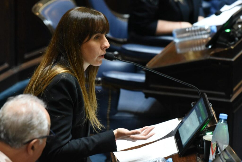 La comisión de Niñez del Senado bonaerense avanzó con un proyecto de la diputada peronista, Lucía Iañez, para garantizar la protección de las infancias en hogares convivenciales.