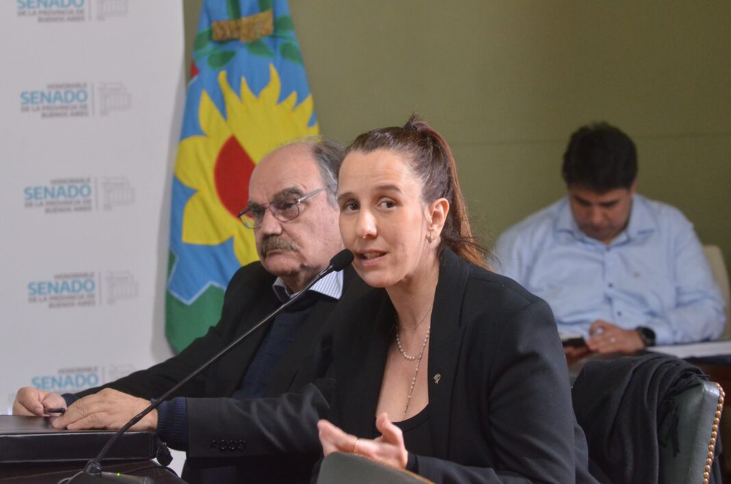 La comisión de Niñez del Senado bonaerense avanzó con un proyecto de la diputada peronista, Lucía Iañez, para garantizar la protección de las infancias en hogares convivenciales.