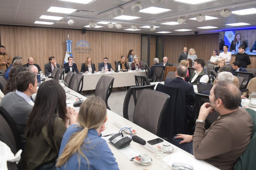 Funcionarios bonaerenses y representantes empresariales asistieron a la comisión de Turismo de la Cámara de Diputados nacional.