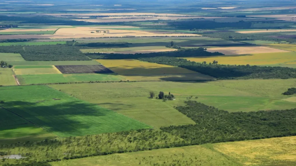 El proyecto del senador Sergio Berni contempla la creación del Registro Provincial de Tierras Rurales. Apunta a limitar la venta a extranjeros y proteger recursos estratégicos.
