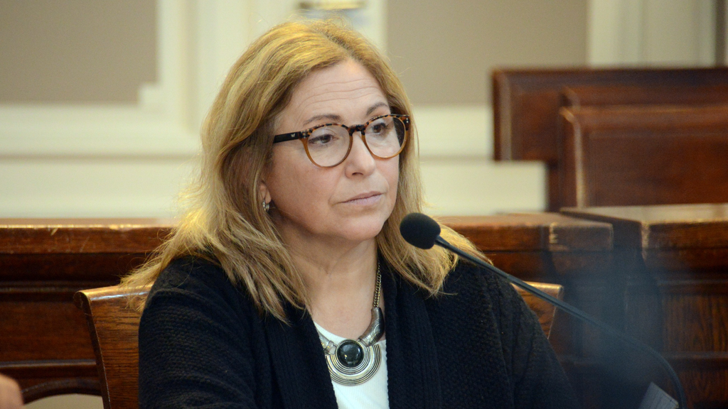 La tandilense María Luján Fiego será quien reemplace a Guillermo Montenegro en el Senado bonaerense.