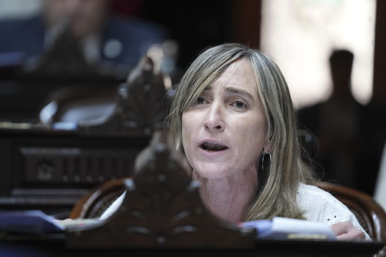 La diputada nacional, Mercedes Llano, presentó un proyecto de ley para suspender la dieta de los diputados que insulten en el Congreso nacional. 