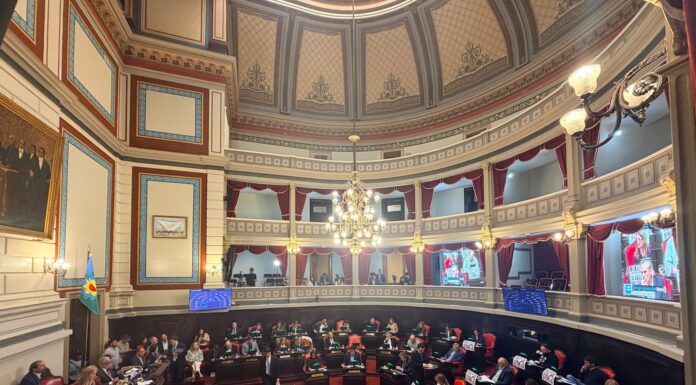 El Senado aprobó la Ley Ema y la giró a Diputados para su sanción definitiva
