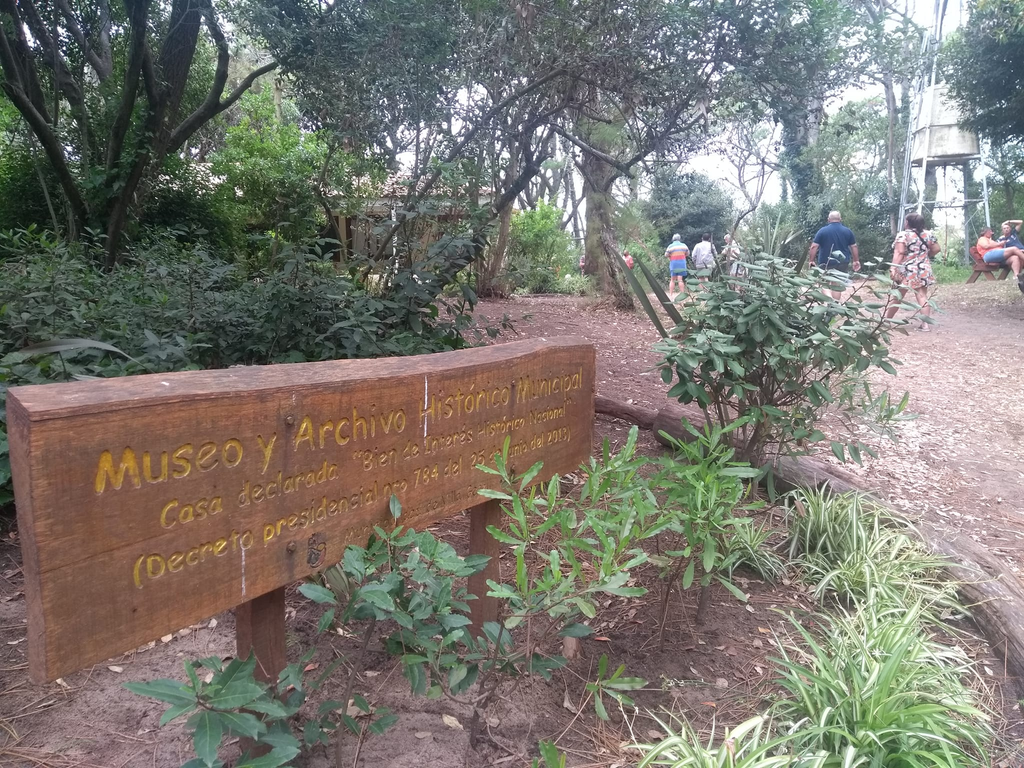 El Senado bonaerense convirtió en ley el proyecto de Germán Di Cesare para que Villa Gesell recupere la potestad de los pinares fundacionales.
