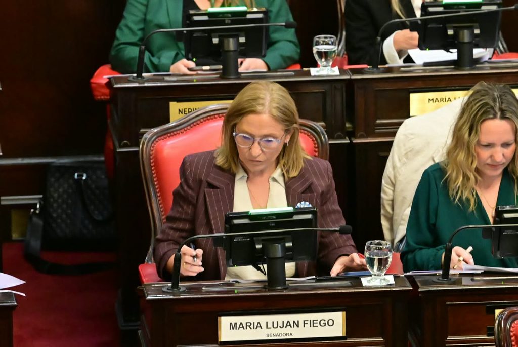 La tandilense María Luján Fiego será quien reemplace a Guillermo Montenegro en el Senado bonaerense.