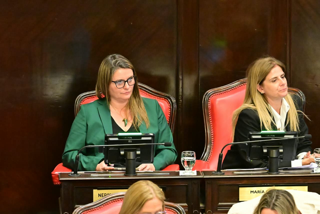 La senadora bonaerense, Nerina Neumann. 