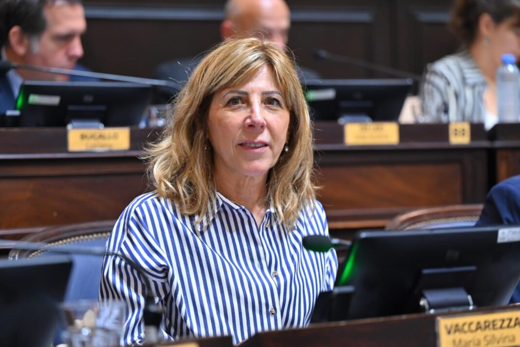 La diputada Silvina Vaccarezza presentó un proyecto para modificar la Ley 13.688 e incorporar la educación financiera y tributaria en las escuelas.